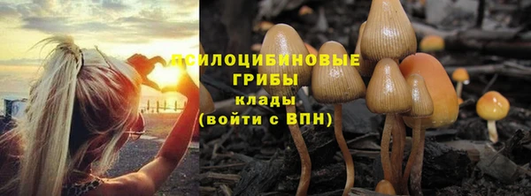 хмурый Абаза