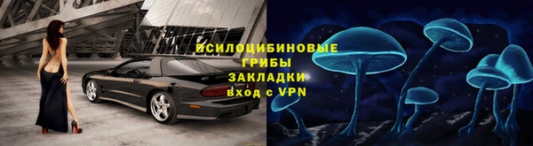 MESCALINE Покачи
