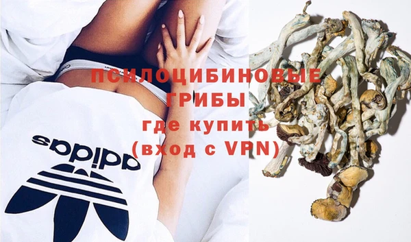 метадон Алексин