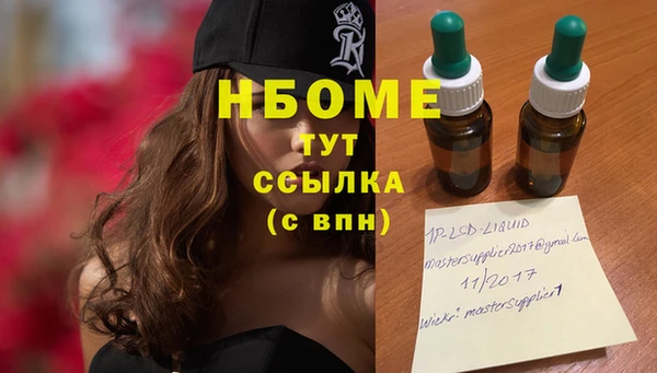 хмурый Абаза